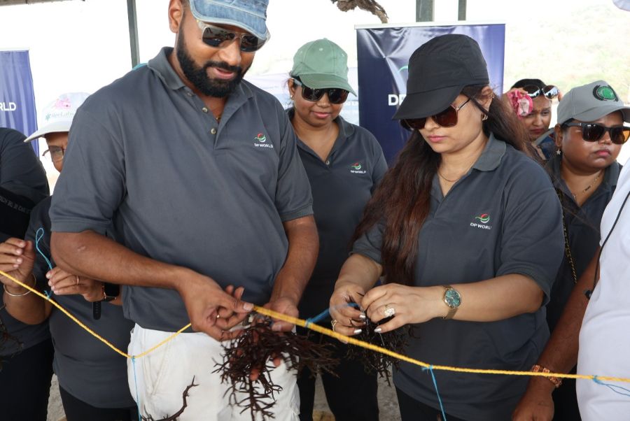 Seaweed Farming Initiative Supports Coastal Livelihoods and Climate Resilience in Maharashtra